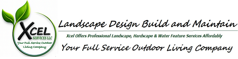 Xcel Services landscape logo